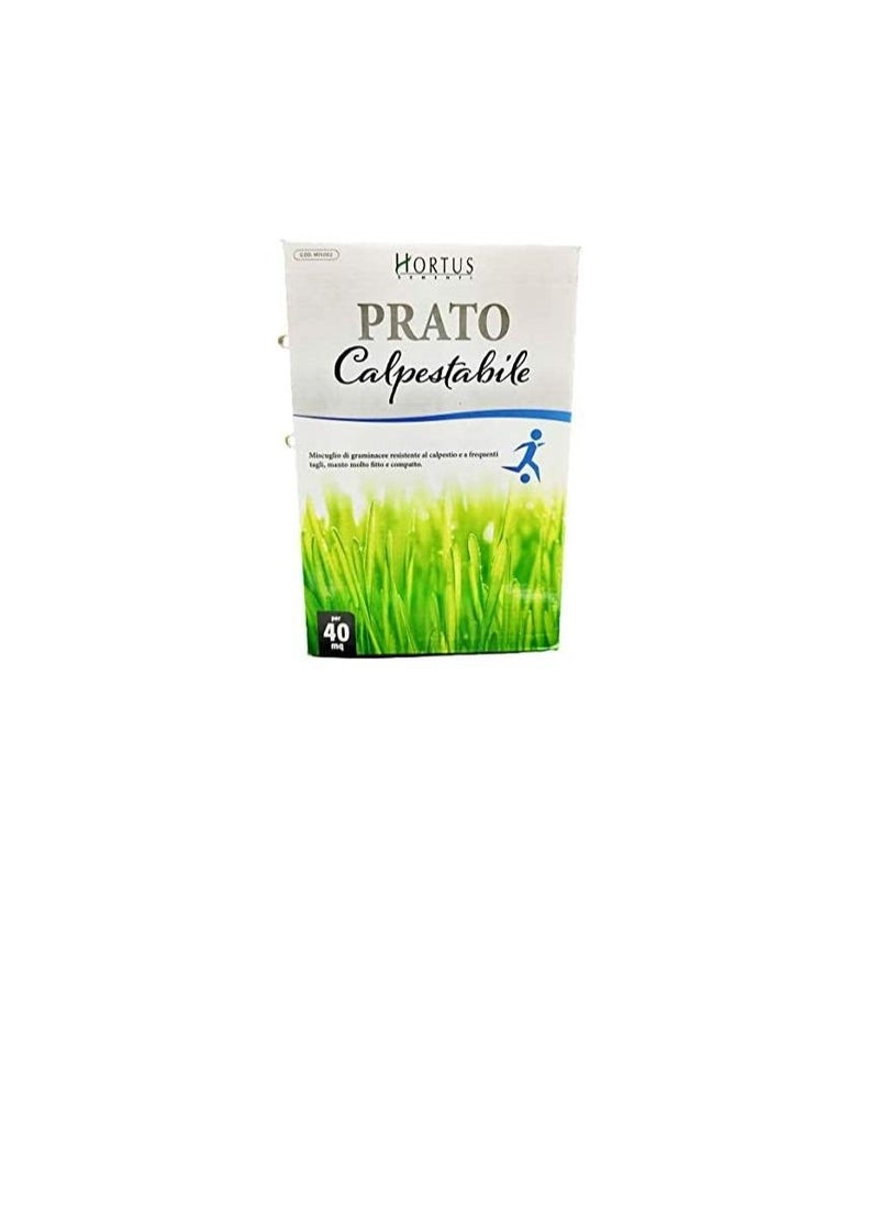 Generic Hortus Sementi Prato Grass Seeds (1Kg)  - Image 2