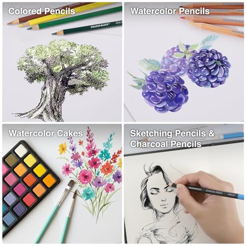 COLOUR BLOCK 181 pc Mixed Media Art Set in Exquisite Wooden Case - Acrylic & Water color Paints, Sketching, Colored Pencils, Soft & Oil Pastels - Image 5