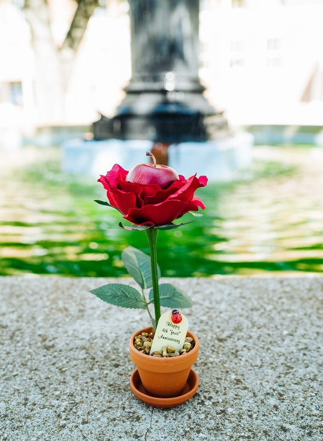 JustPaperRoses – Fruit Anniversary Desk Gift – Red Apple – 4th Year JustDeskRoses in Terra Cotta Pot – Handmade 4th Wedding Gift for Him or Her, Artificial Fruit Rose Decoration - Image 4