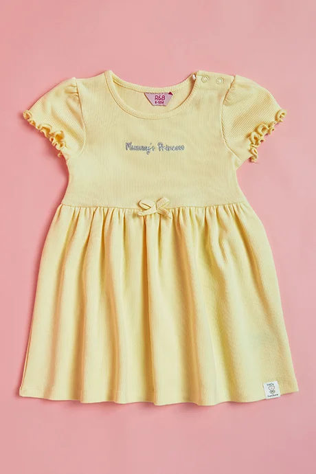 أر أند بي Embroidered Dress with Crew Neck and Short Sleeves