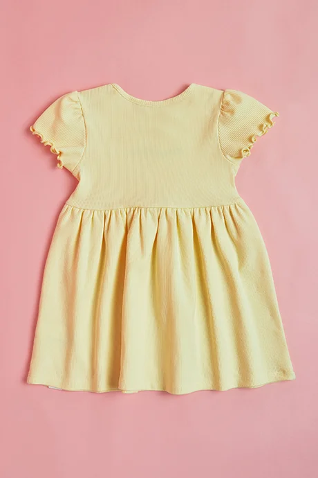 أر أند بي Embroidered Dress with Crew Neck and Short Sleeves