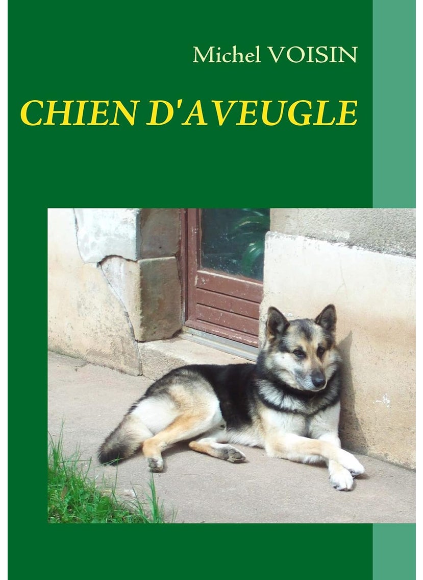 CHIEN D'AVEUGLE  - Image 1