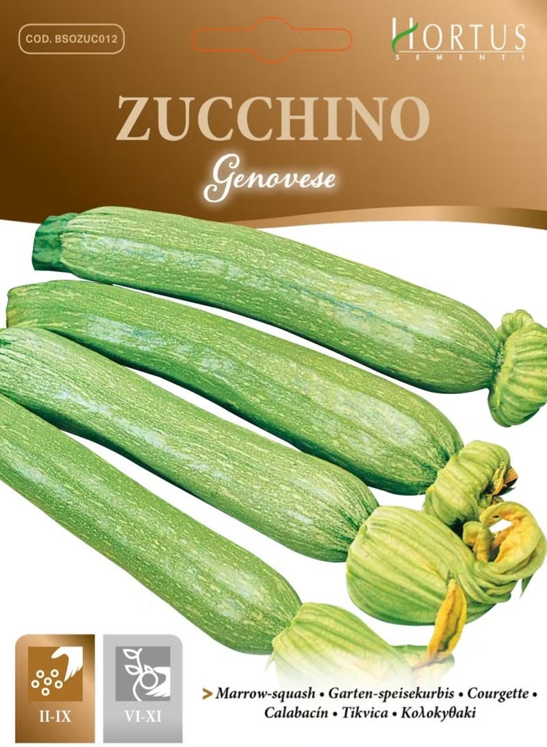 Hortus Zucchino Genovese (Marrow) Le Biologiche Organic Seeds By Hortus - Image 2