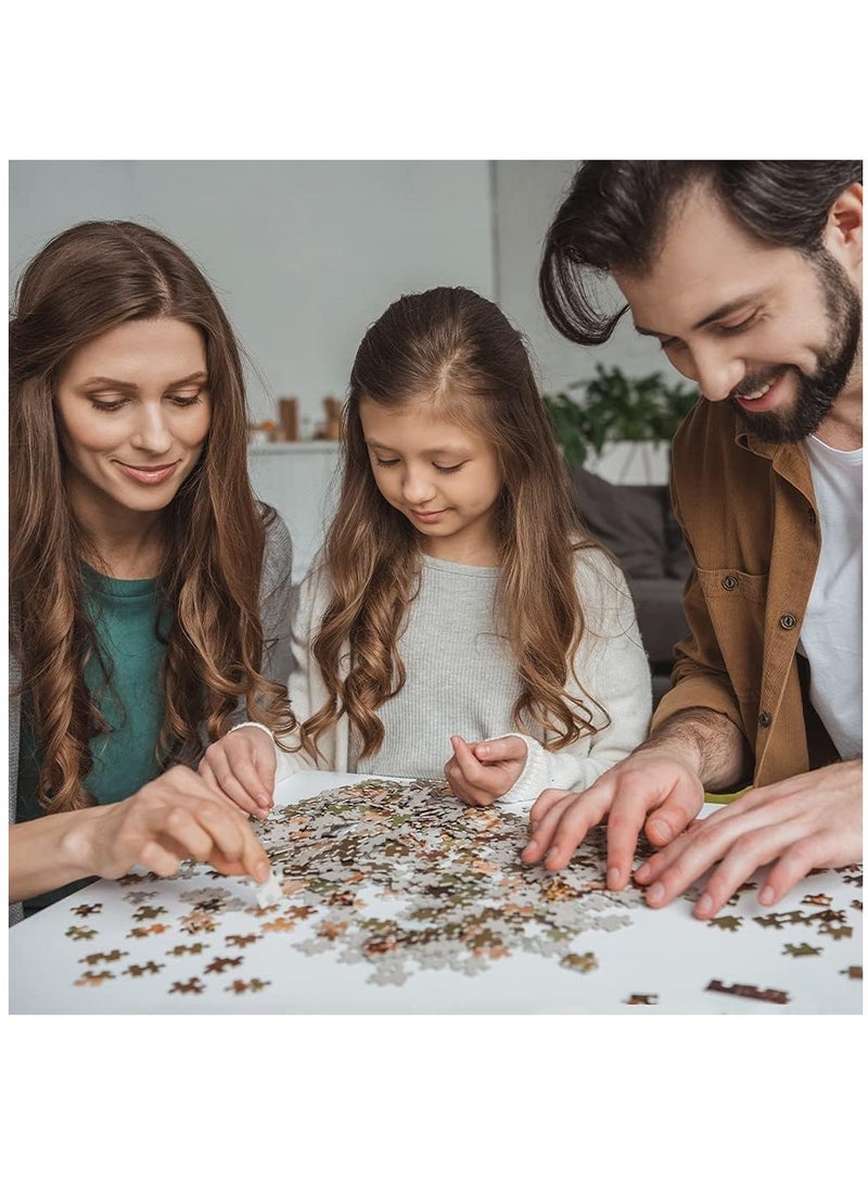 لعبة تركيب مدينة السماء الدائرية المكونة من 1000 قطعة - Image 5