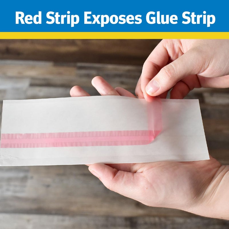 Raid Window Fly Trap, 4 Count (Pack of 3) - Image 4