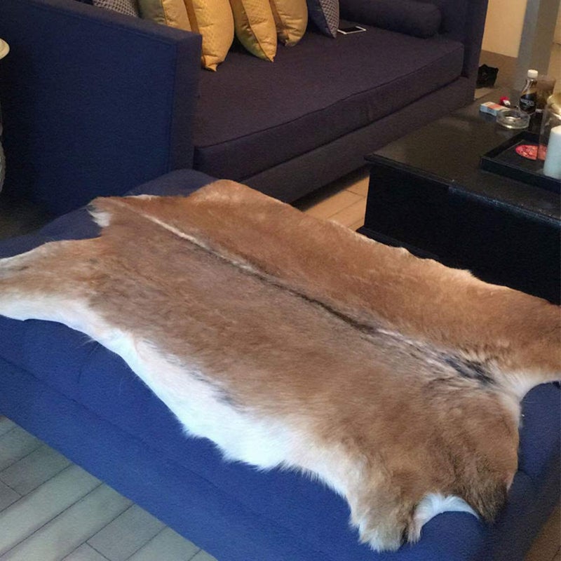 Asuprui Red Deer Hide Rug Deer Skin Rug Deer Taxidermy Fireplace Deerskin Decor Reindeer Hide Area Rug Animals Mat Carpet for Home  Office  Bedroom Taxidermy Hunting Collectable 3.2x2.1ft - Image 3