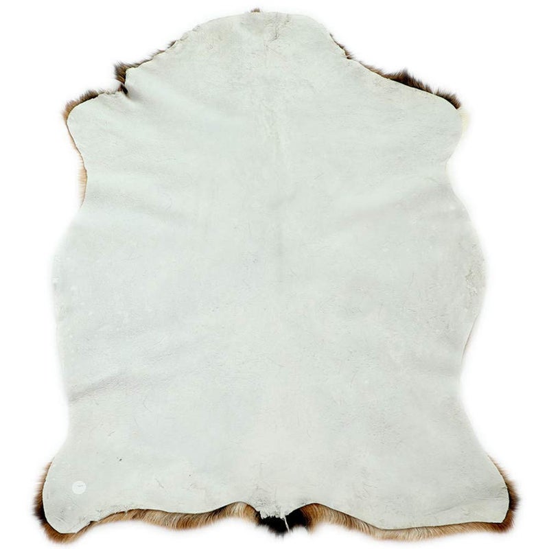 Asuprui Red Deer Hide Rug Deer Skin Rug Deer Taxidermy Fireplace Deerskin Decor Reindeer Hide Area Rug Animals Mat Carpet for Home  Office  Bedroom Taxidermy Hunting Collectable 3.2x2.1ft - Image 5