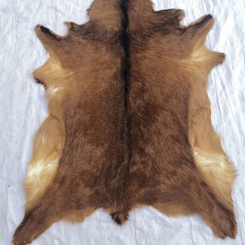 Asuprui Red Deer Hide Rug Deer Skin Rug Deer Taxidermy Fireplace Deerskin Decor Reindeer Hide Area Rug Animals Mat Carpet for Home  Office  Bedroom Taxidermy Hunting Collectable 3.2x2.1ft - Image 2