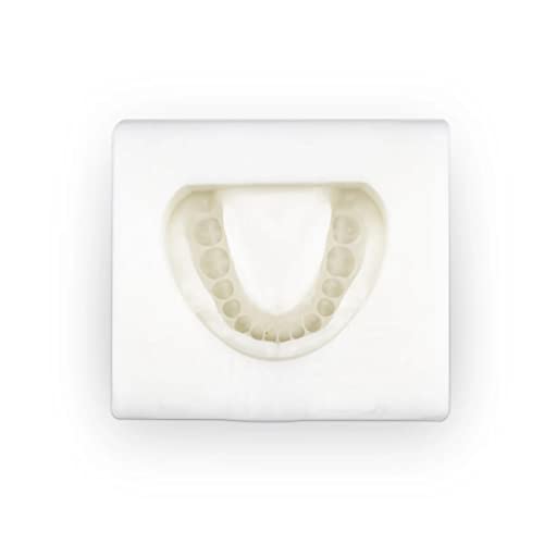 iDENTical Complete Dentulous Cast Moulds for Adult Model - White M8019 | Durable Dental Molds for Accurate and Detailed Dentulous Arch Models | Ideal for Diagnostics & Treatment - Image 1