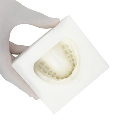 iDENTical Complete Dentulous Cast Moulds for Adult Model - White M8019 | Durable Dental Molds for Accurate and Detailed Dentulous Arch Models | Ideal for Diagnostics & Treatment - Image 4