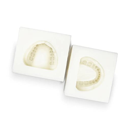 iDENTical Complete Dentulous Cast Moulds for Adult Model - White M8019 | Durable Dental Molds for Accurate and Detailed Dentulous Arch Models | Ideal for Diagnostics & Treatment - Image 3
