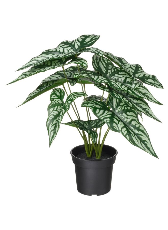 erorex Artificial Potted Plant, In/Outdoor Wondrous Cerces, 15 Cm - Image 1
