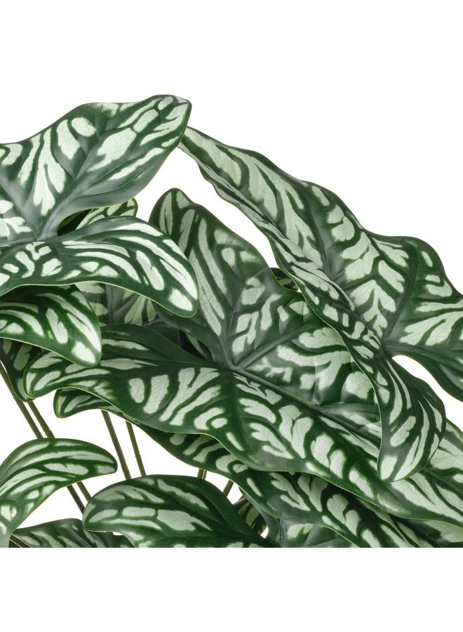 erorex Artificial Potted Plant, In/Outdoor Wondrous Cerces, 15 Cm - Image 4