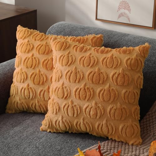 DFXSZ Fall Pillow Covers 18x18 Set of 2 Fall Decorations Light Orange Pumpkin Throw Pillow Cases Soft Plush Faux Fur Wool Couch Cushion Case for Chair Sofa Bedroom Living Room Home Decor PTK02D18 - Image 1