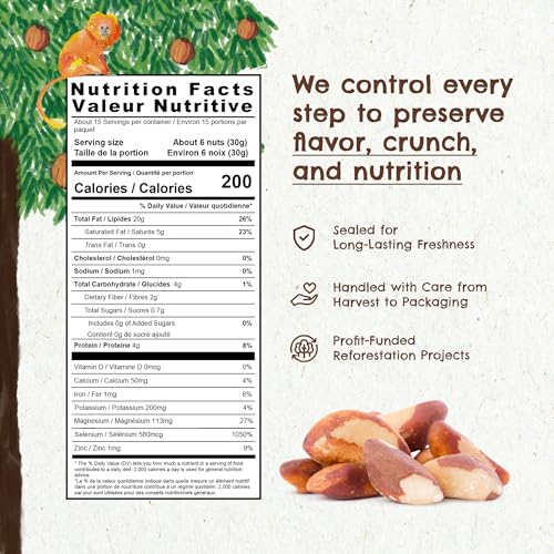 Floresta em Pé Snack The True Organic Brazil Nuts 15 oz – Raw and Unsalted – Kosher – Healthy-Rich in Vegetable Protein – Harvested in Amazon Rainforest – Fresh, Vegan and Gluten Free – Forest Up - Image 4