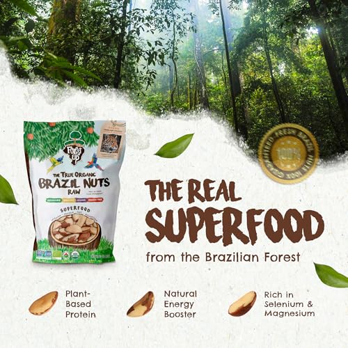 Floresta em Pé Snack The True Organic Brazil Nuts 15 oz – Raw and Unsalted – Kosher – Healthy-Rich in Vegetable Protein – Harvested in Amazon Rainforest – Fresh, Vegan and Gluten Free – Forest Up - Image 2