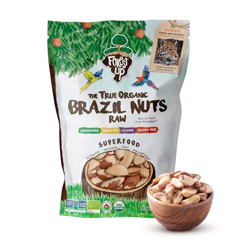Floresta em Pé Snack The True Organic Brazil Nuts 15 oz – Raw and Unsalted – Kosher – Healthy-Rich in Vegetable Protein – Harvested in Amazon Rainforest – Fresh, Vegan and Gluten Free – Forest Up - Image 1