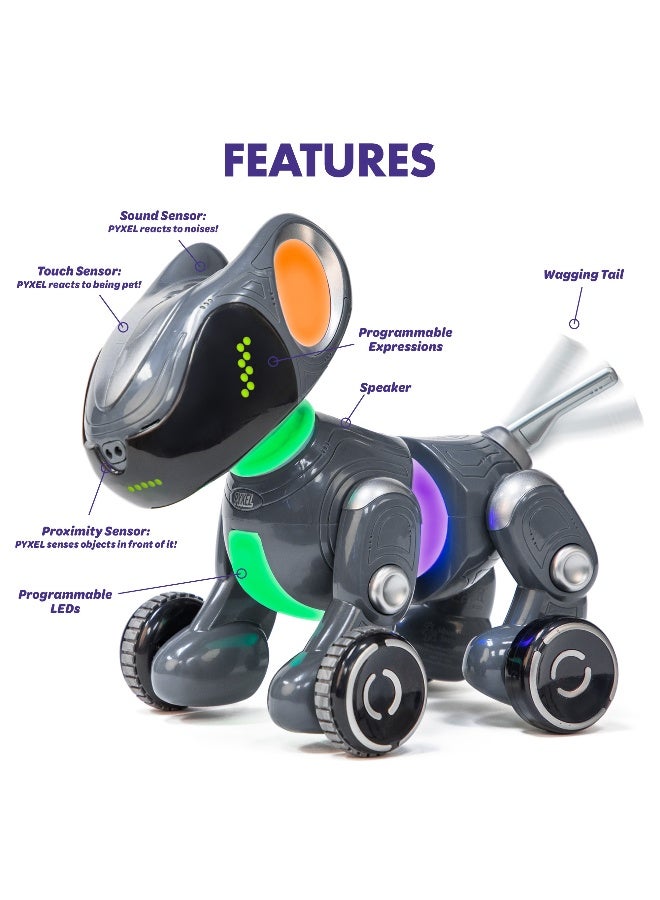 ليرننج ريسورسز موارد التعلم PYXEL: أفضل صديق للمبرمج، روبوت تفاعلي للبرمجة مع Blockly وPython، للأعمار من 8 سنوات فما فوق - Image 4