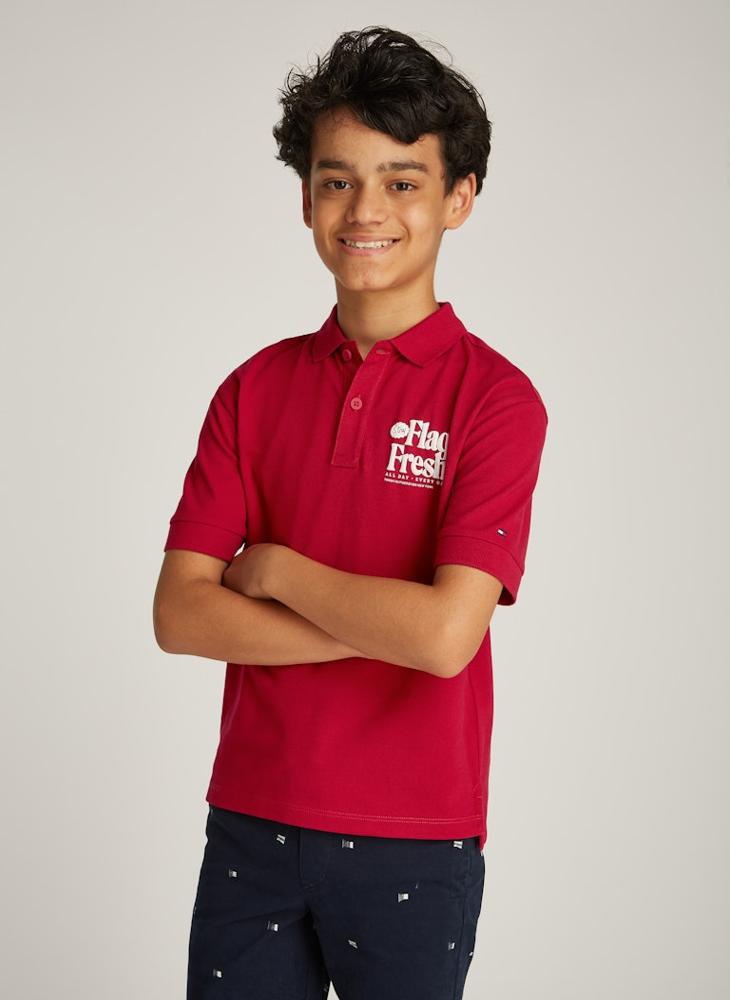 TOMMY HILFIGER - Youth Flag Fun Short Sleeve Regular Polo T-Shirt - Image 1