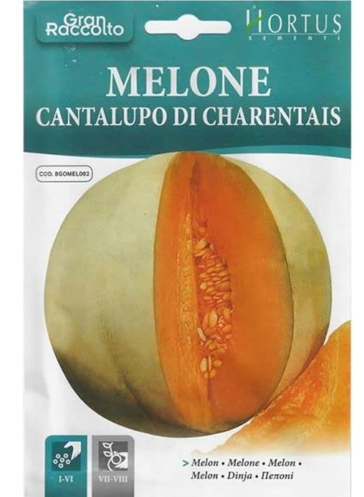 هورتس بذور البطيخ (Melone Cantalupo di Charentais) عالية الجودة (صنع في إيطاليا) بواسطة Hortus Sementi - Image 1