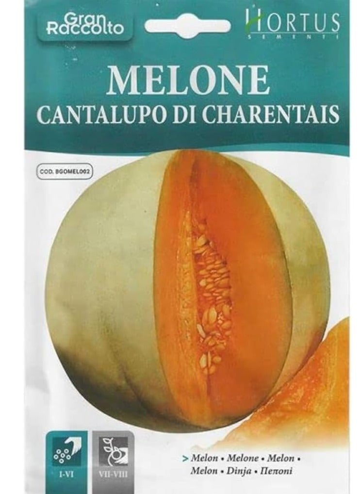 هورتس بذور البطيخ (Melone Cantalupo di Charentais) عالية الجودة (صنع في إيطاليا) بواسطة Hortus Sementi - Image 2