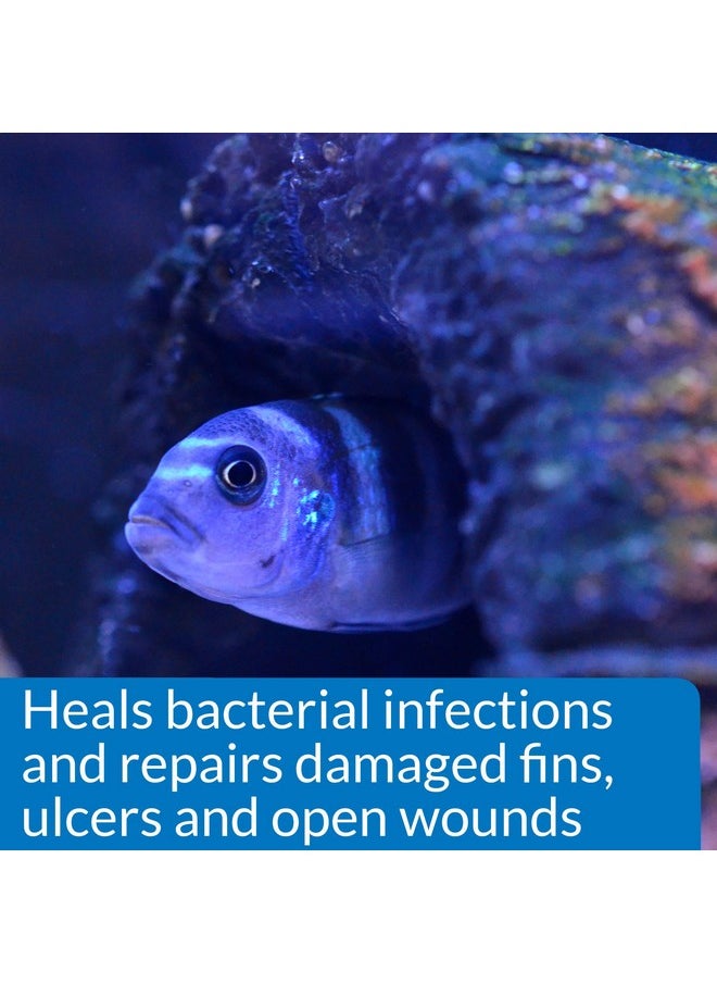 API API MELAFIX Freshwater Fish Bacterial Infection Remedy 8-Ounce Bottle  - Image 4
