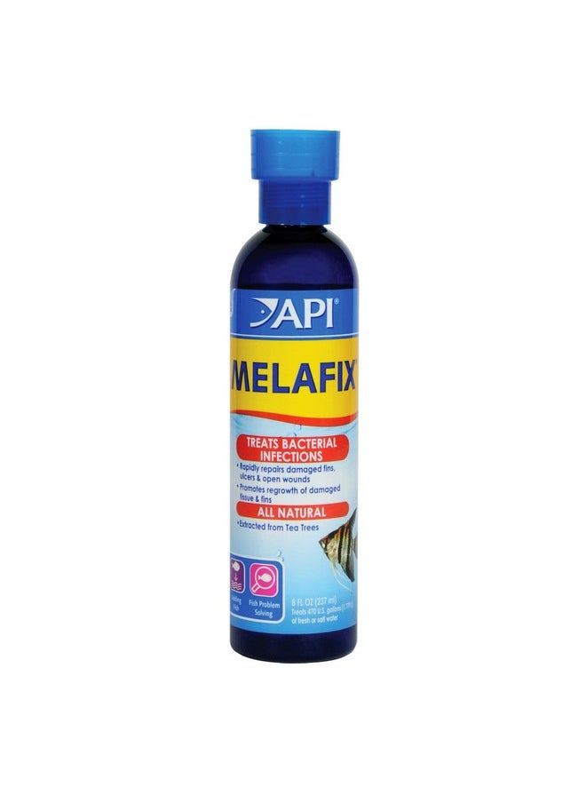API API MELAFIX Freshwater Fish Bacterial Infection Remedy 8-Ounce Bottle  - Image 1