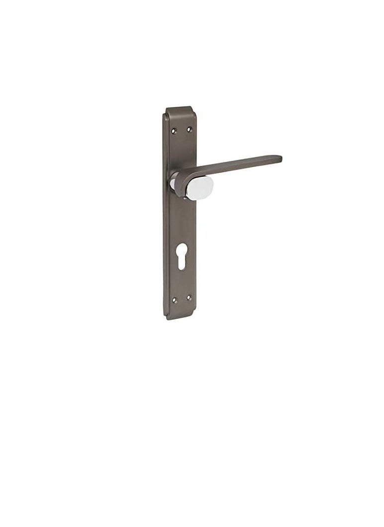 ROBUSTLINE Door Handle | Zinc Material | Black Nickel Silver Color | Robustline  - Image 2