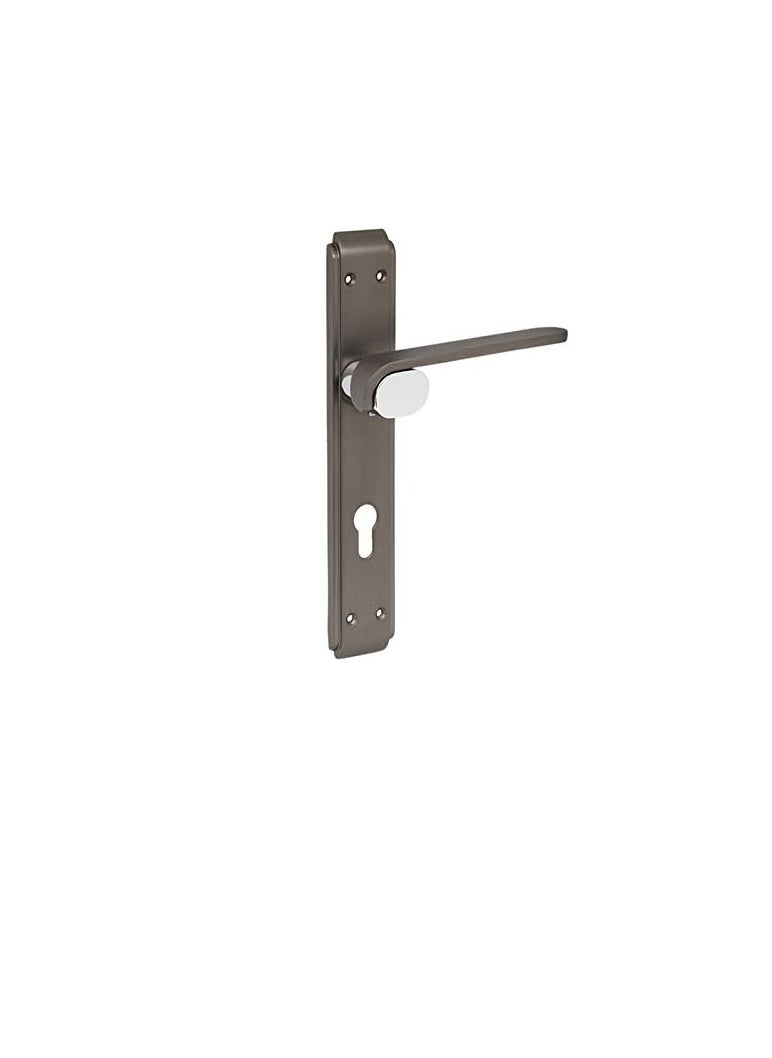 ROBUSTLINE Door Handle | Zinc Material | Black Nickel Silver Color | Robustline  - Image 3