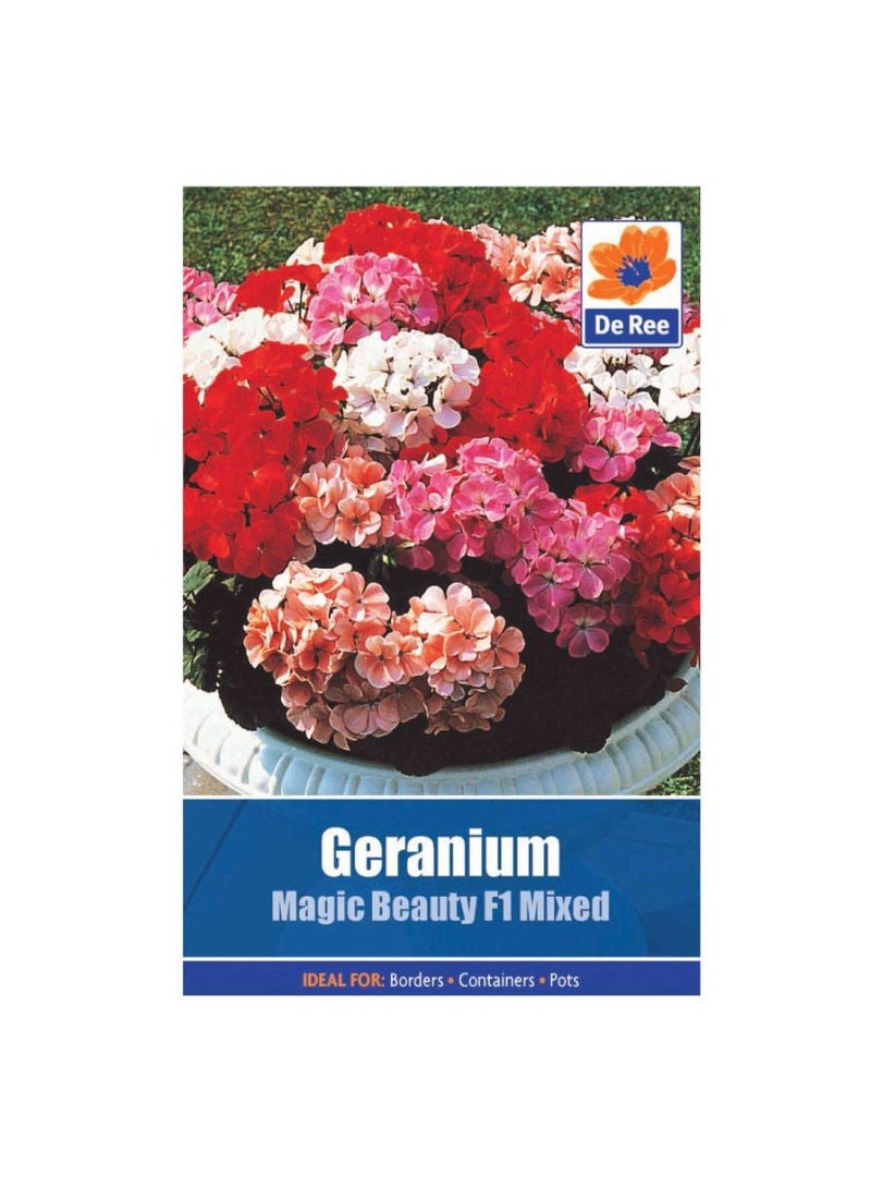 ACE De Ree Geranium Magic Beauty Seeds