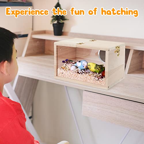 Rypet Parakeet Nesting Box Transparent Design, Thwartwise Bird Nest Breeding Box with Perch Wood Bird Cage House for Cockatiel Lovebirds Budgie Finch Parrotlets Canary S - Image 5