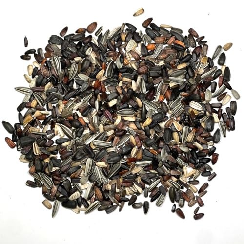 Seed Needs Sunflower Seeds for Planting The Original Crazy Blend | 1 Ounce 15+ Heirloom Varieties Open Pollinated & Untreated | Resealable Bulk Package Multicolored Blooms Flower Seeds - Image 5