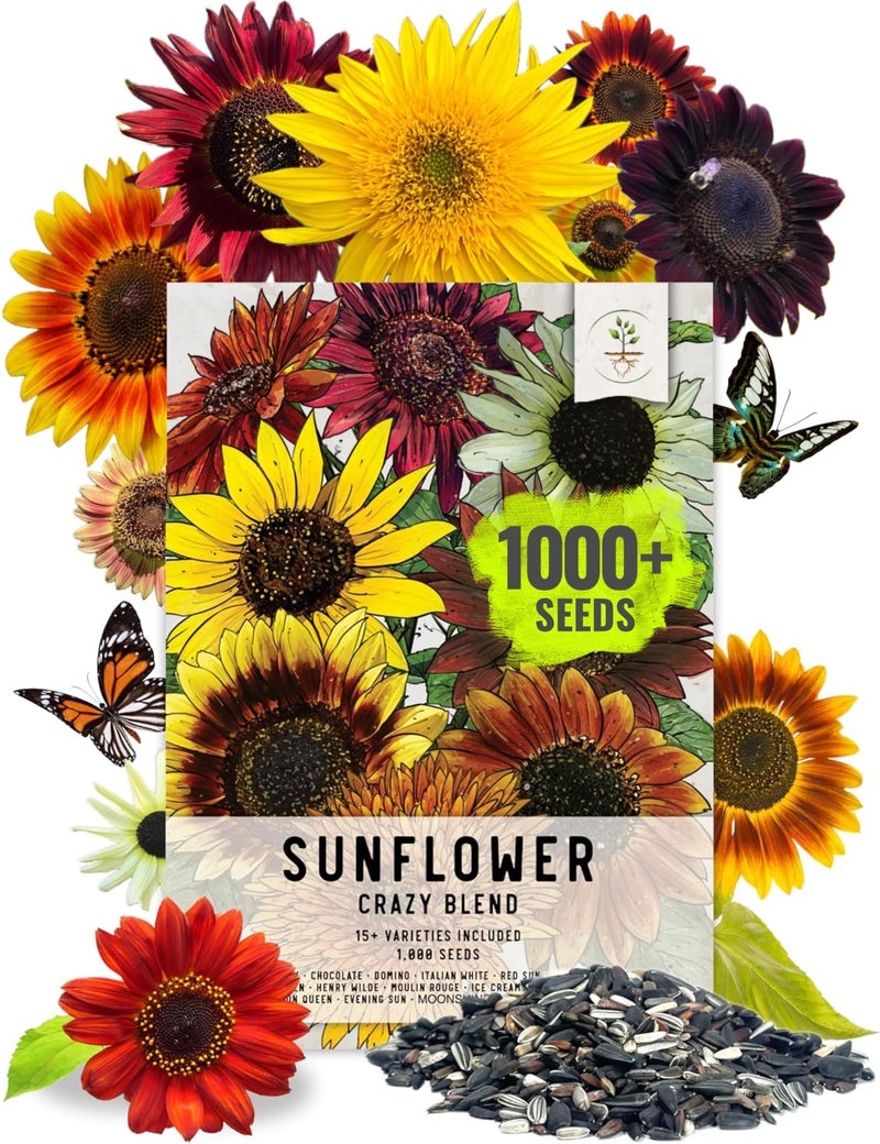 Seed Needs Sunflower Seeds for Planting The Original Crazy Blend | 1 Ounce 15+ Heirloom Varieties Open Pollinated & Untreated | Resealable Bulk Package Multicolored Blooms Flower Seeds - Image 1