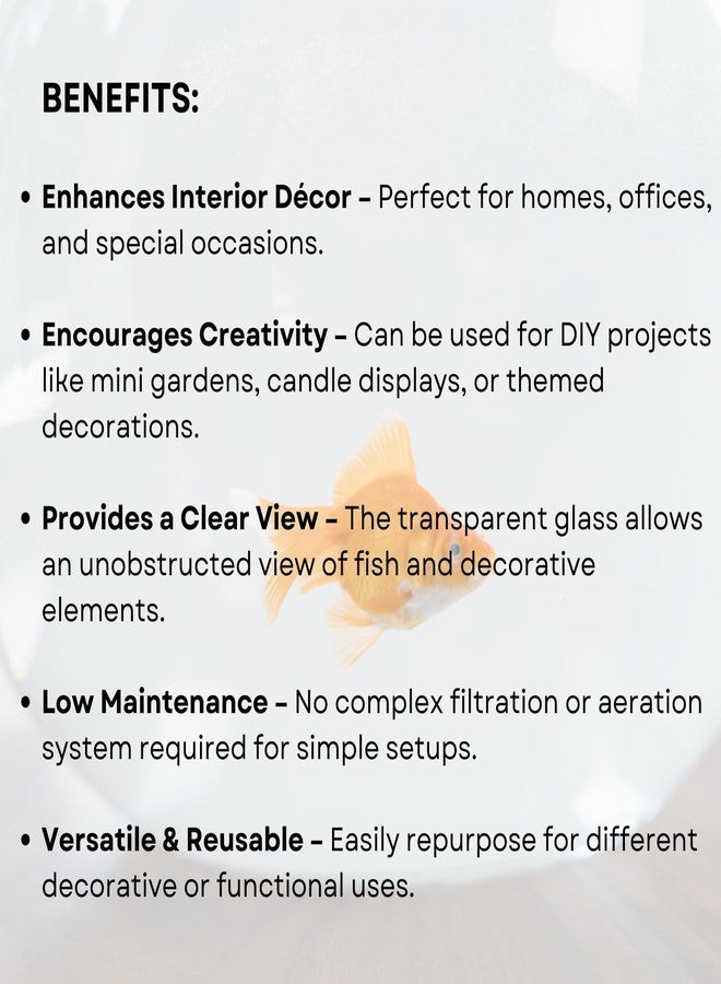 TUNAI 10-inch Fish Bowl with Out Neck Collar, Suitable for Small Fish, Plants | Optimum Fish Tank Choice for Office & Home Decor - Image 4