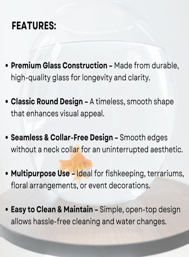 TUNAI 10-inch Fish Bowl with Out Neck Collar, Suitable for Small Fish, Plants | Optimum Fish Tank Choice for Office & Home Decor - Image 3