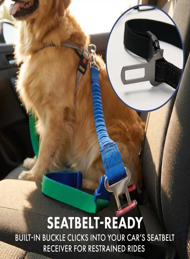 Spark Paws طوق كلاب سبارك باوز بدون استخدام اليدين - طوق مطاطي ماص للصدمات للخصر للجري، مشبك حزام أمان السيارة ومجموعة أكياس فضلات الكلاب، طوق تكتيكي شديد التحمل للسلالات المتوسطة والكبيرة والكبيرة جدًا - أسود - Image 4