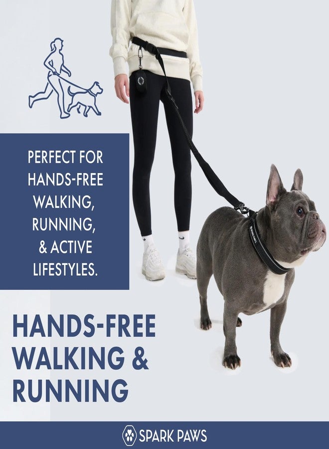 Spark Paws طوق كلاب سبارك باوز بدون استخدام اليدين - طوق مطاطي ماص للصدمات للخصر للجري، مشبك حزام أمان السيارة ومجموعة أكياس فضلات الكلاب، طوق تكتيكي شديد التحمل للسلالات المتوسطة والكبيرة والكبيرة جدًا - أسود - Image 2