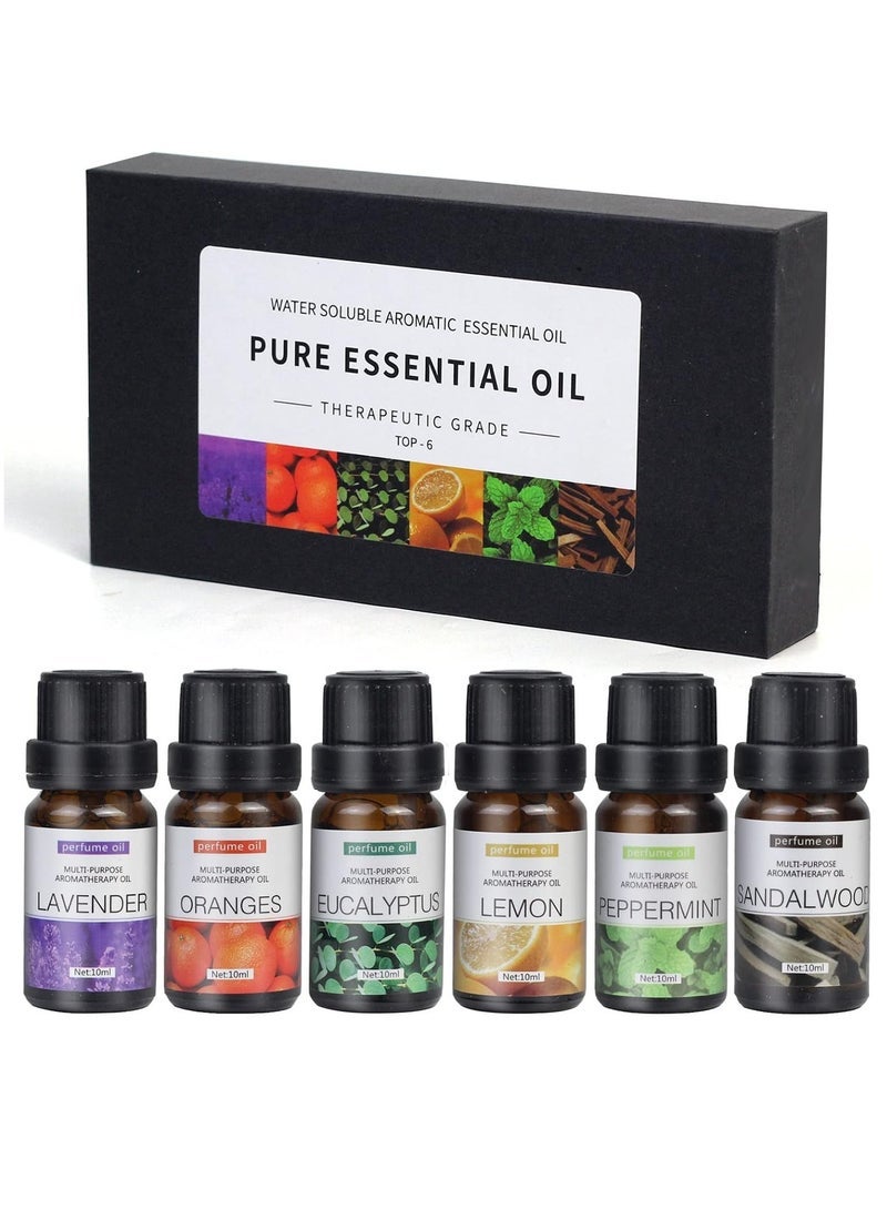إلترازون Essential Oils Set Top 6 Blends For Diffusers, Home Care, Candle Making Scents, Fragrance, Aromatherapy, Humidifiers Lavender, Oranges, Eucalyptus, Lemon, Peppermint  Sandalwood 10ML Each Bottle - Image 1