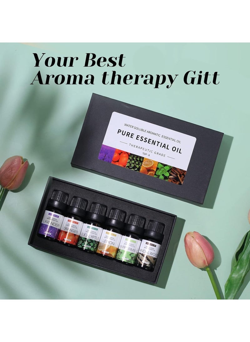 إلترازون Essential Oils Set Top 6 Blends For Diffusers, Home Care, Candle Making Scents, Fragrance, Aromatherapy, Humidifiers Lavender, Oranges, Eucalyptus, Lemon, Peppermint  Sandalwood 10ML Each Bottle - Image 4
