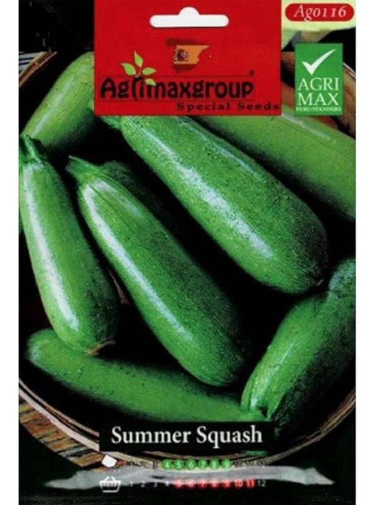 أجريماكس بذور الاسكواش الصيفية عالية الجودة من Agrimaxgroup® - Image 1