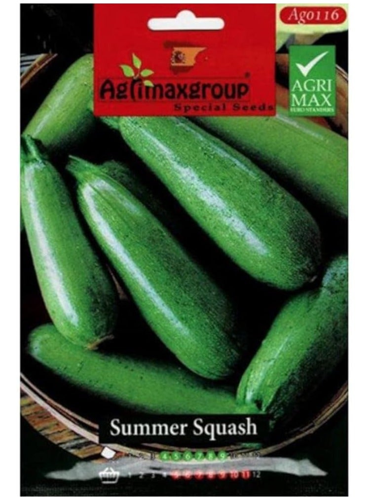 أجريماكس بذور الاسكواش الصيفية عالية الجودة من Agrimaxgroup® - Image 2