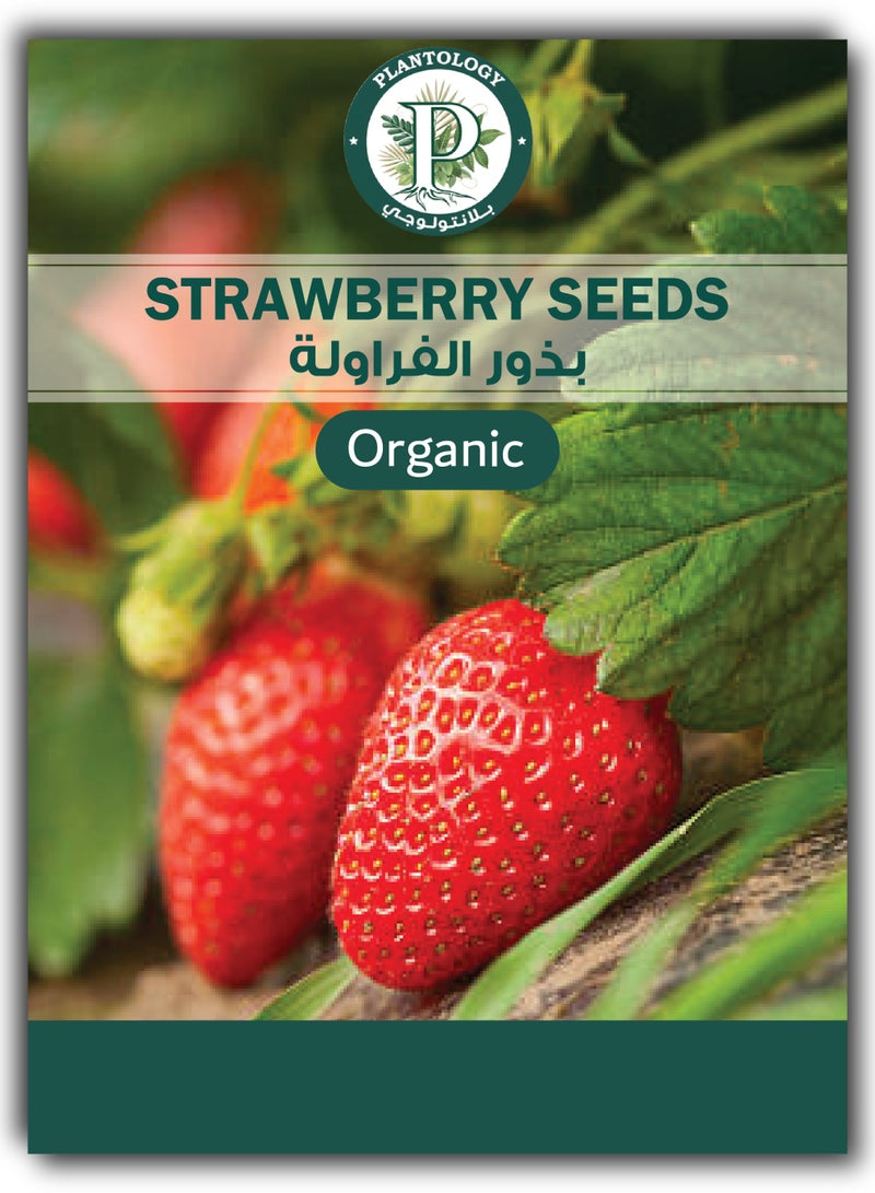 Strawberry Seeds for Planting - Strawberry Fruit Seeds - Image 1