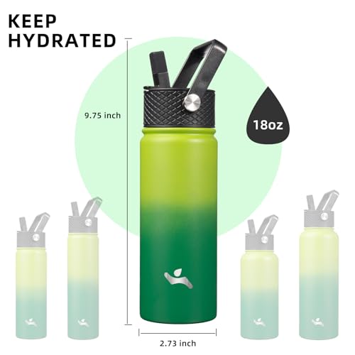 Konokyo 18 oz Insulated Water Bottle Stainless Steel Sport Bottles with 3 Lids,Bamboo Grove - Image 5