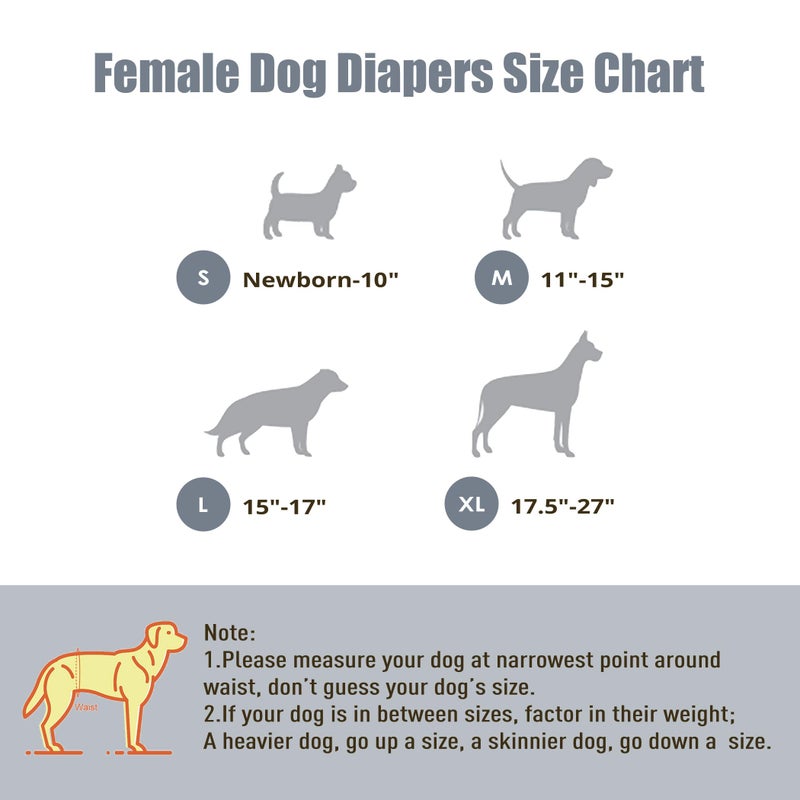 wegreeco Dog Diapers Female (3 Pack), Highly Absorbent Puppy Doggie Dog Diapers for Female Dogs Period, Washable Doggy in Heat, Small Medium Large Size (Small) - Image 3