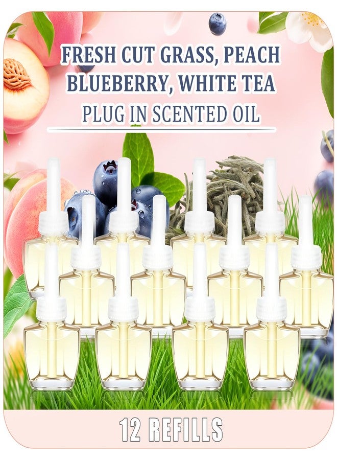 فيريك عبوات إعادة تعبئة معطرات الجو الكهربائية، برائحة عشب مقصوص طازج، خوخ، توت أزرق، شاي أبيض، للمنزل والحمام، 7.92 أونصة سائلة، 12 عبوة، متوافقة مع معطرات الجو من إير ويك. - Image 1