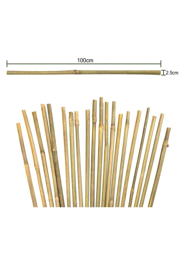 LINGWEI Pack Of 20 Natural Thick Decoratiev Bamboo pols 100cm Tall Garden Floral Plants Flowers Vine Support Bamboo Rod Support Sticks Eco-Friendly  - Image 5