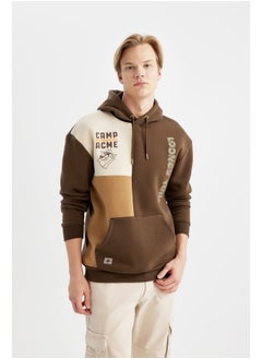 DeFacto Man Boxy Fit Crew Neck Long Sleeve Knitted Sweat Shirt  - Image 3