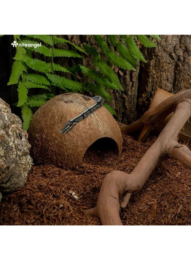 Coconut Reptile Hideouts, Lizard, Spider and Aquarium Fish Hide Cave BK - Image 3
