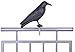 Esschert Design Esschert Design FY18 Raven Crow Scare Decoy  - Image 2