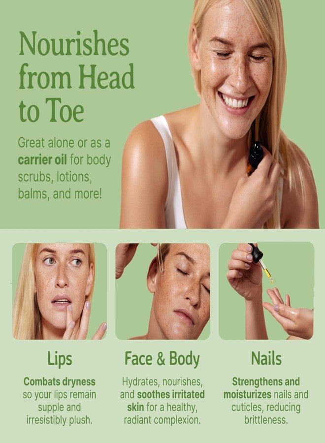 Bella Terra Oils - Cucumber Seed Oil 8 oz - Dive into Cucumber's Nutritional Treasure, Infused with Vitamins & Omega-3, Seamless Addition to Skin Care Arsenal - Image 5